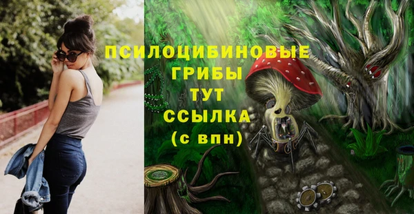 гидра Баксан