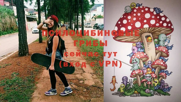 гидра Баксан