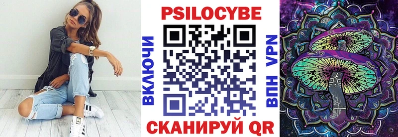 Псилоцибиновые грибы GOLDEN TEACHER  OMG ссылка  Купино 