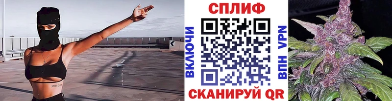 наркотики  Купино  Каннабис Amnesia 